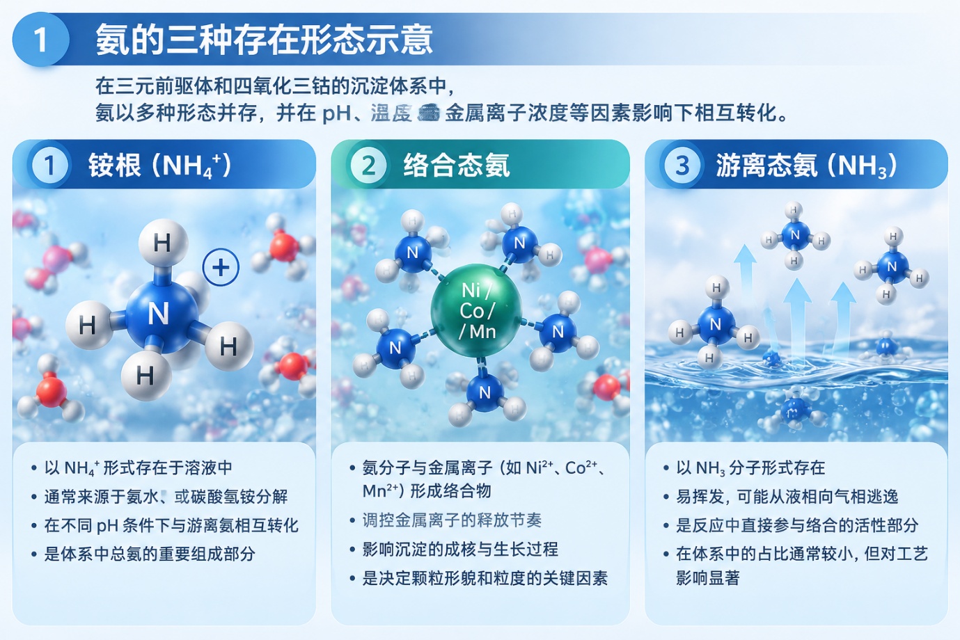 氨的三种存在形态示意
